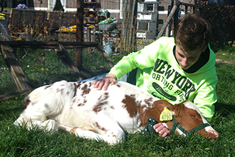 banner-home-autisme