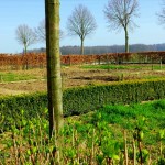 Zorgboerderij montferland gelderland